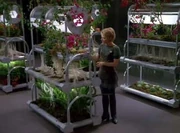 Kes notes miraculous growth on her plants in the airponics bay
