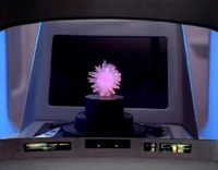 L'entité microscopique