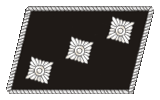 Afbeelding:SS patch 2nd lieutenant.png
