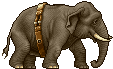 Image:43521.gif