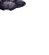 Image:Tungus Incident.gif