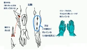 Barb-like objects run along the arm of the Fusion Suit. They are generally referred to as "Metroid Teeth."