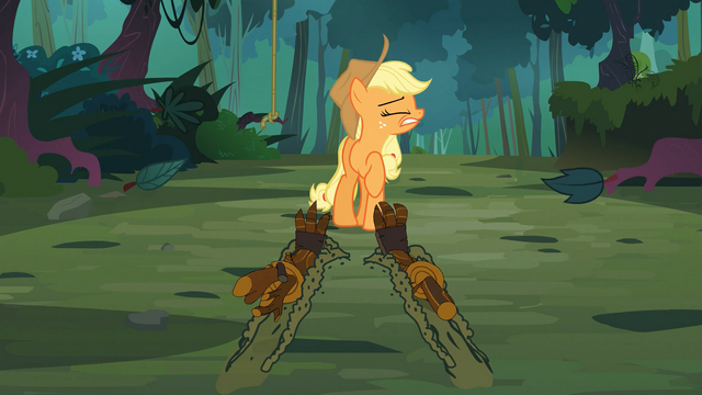http://images2.wikia.nocookie.net/mlp/images/thumb/a/a8/Applejack_looks_away_and_closes_her_eyes_at_the_remains_S3E9.png/640px-Applejack_looks_away_and_closes_her_eyes_at_the_remains_S3E9.png