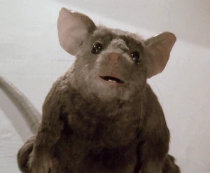 Bruno as rodent
