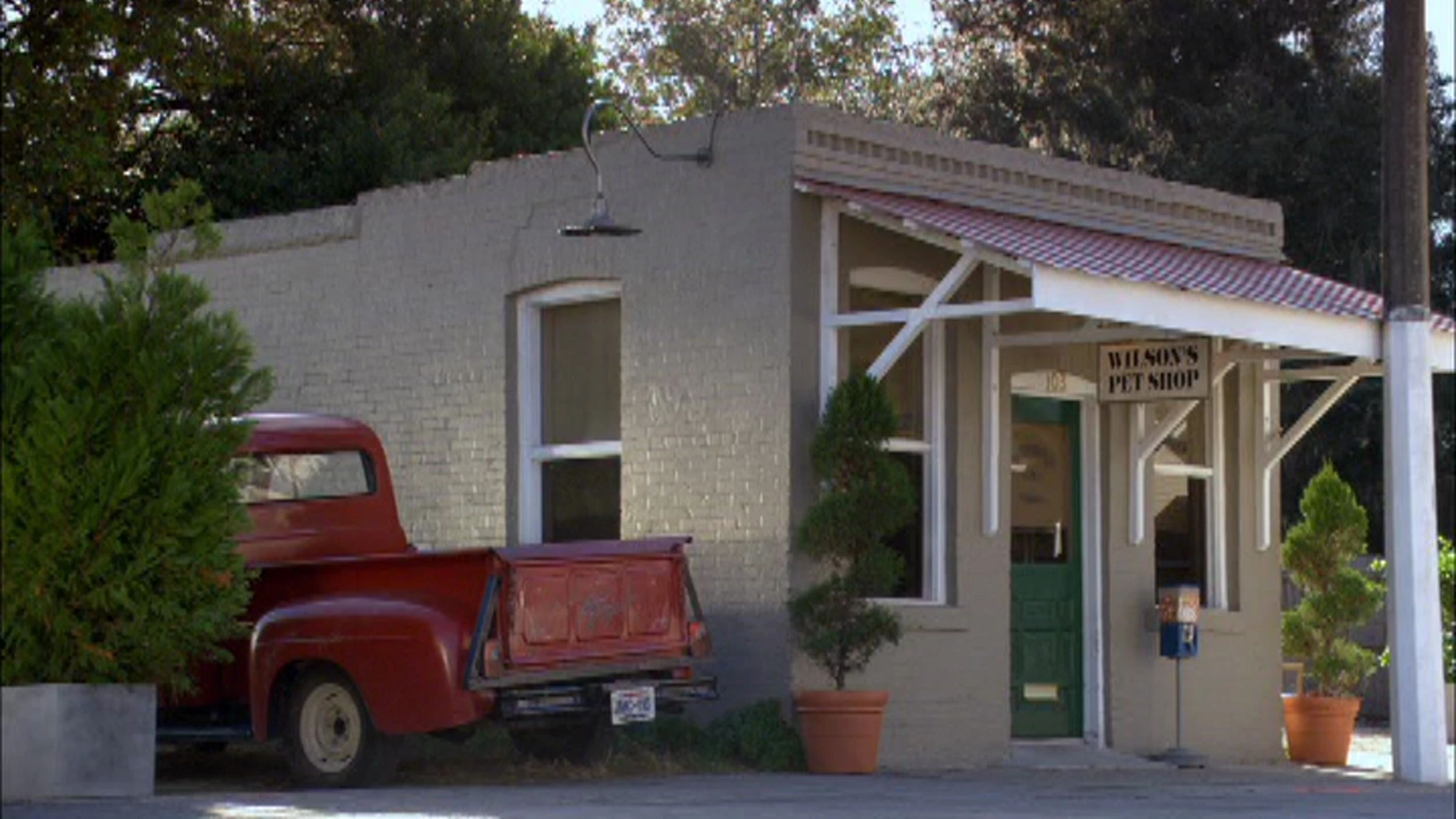 Wilsonspetshop.jpg