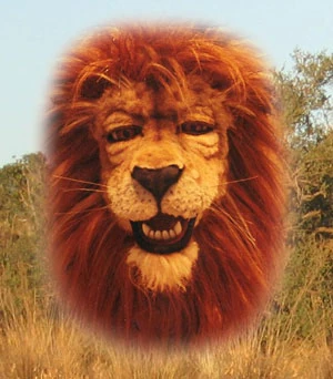 Lion puppet built by Jean-Guy White in 1990 for W.I.L.D., an unproduced Jim Henson series.