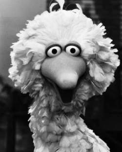 Big Bird