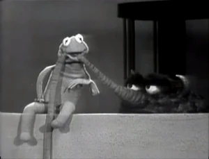 Kermit and Big V in 1964