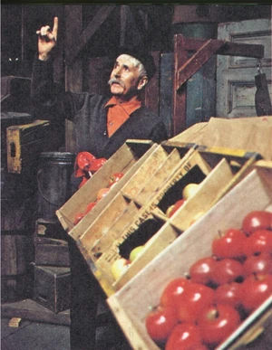 Mr. Macintosh