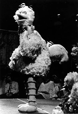 Big Bird walking down the cathedral aisle in New York