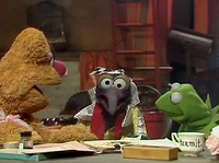 Cross eye gonzo 315.jpg