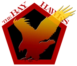 The Bay Hawks are founded in May 2007