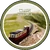 Train Village
