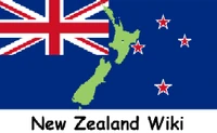 Current New Zealand logo(full version, not correct size)