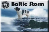 Grafika:Baltic Storm logo.jpg