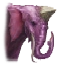 Image:Pleskorus.png