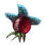 Image:Starfire Berries.png