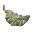 Image:Tea leaves.png