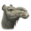 Image:Desert Camel.png
