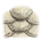 Image:Longhat Trigger Scales.png