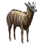 Image:Striped Billy.png