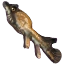 Image:Froghead Fish.png