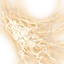 Image:Black Widow Spider Silk.png