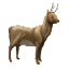 Image:Fenelihorn.png