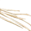 Image:White Rat Whiskers.png