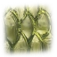 Image:Poison Scale Fish Scales.png