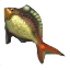 Image:Bluegill.png