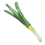 Image:Scallion.png