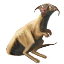 Image:Roo Pup.png