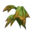 Image:Devil’s Shoe Leaves.png