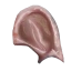 Image:Blood Filled Earsacks.png
