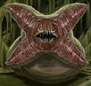 Flesh Worm