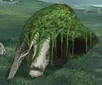 Mossy Anteater