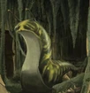 Tiger Slug
