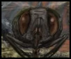 Harpoon Fly