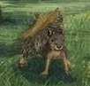 Frenzied Squirrel