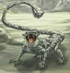Bouldertail Lizard
