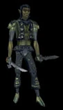 Ranger