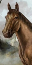 Walnut horse portrait
