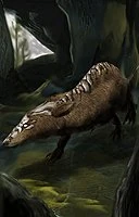 dire rat portrait