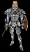 Paladin
