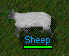 Image:Sheep.gif