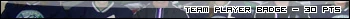 Image:Teamplayerbadge.jpg