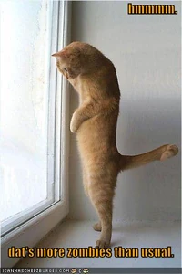 Goldenfur Gadgettweaker