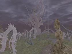 Thorn Isle
