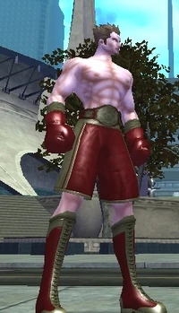 Boxing Suit